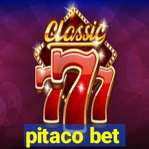 pitaco bet